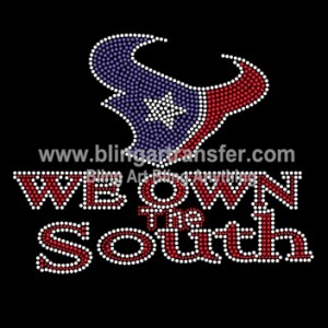 We Own The South Texans Rhinestone Iron Ons