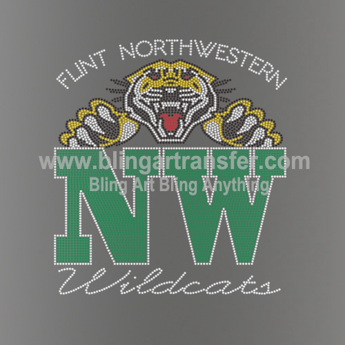 Flint Nothwestern Rhinestone Transfers